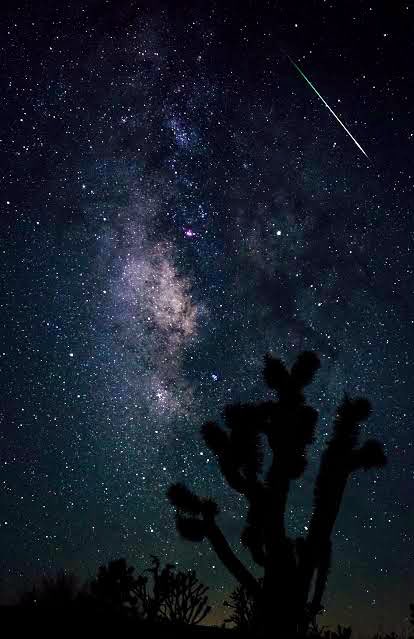 A fallen star

is not lost —

it’s found

the way home 🤍