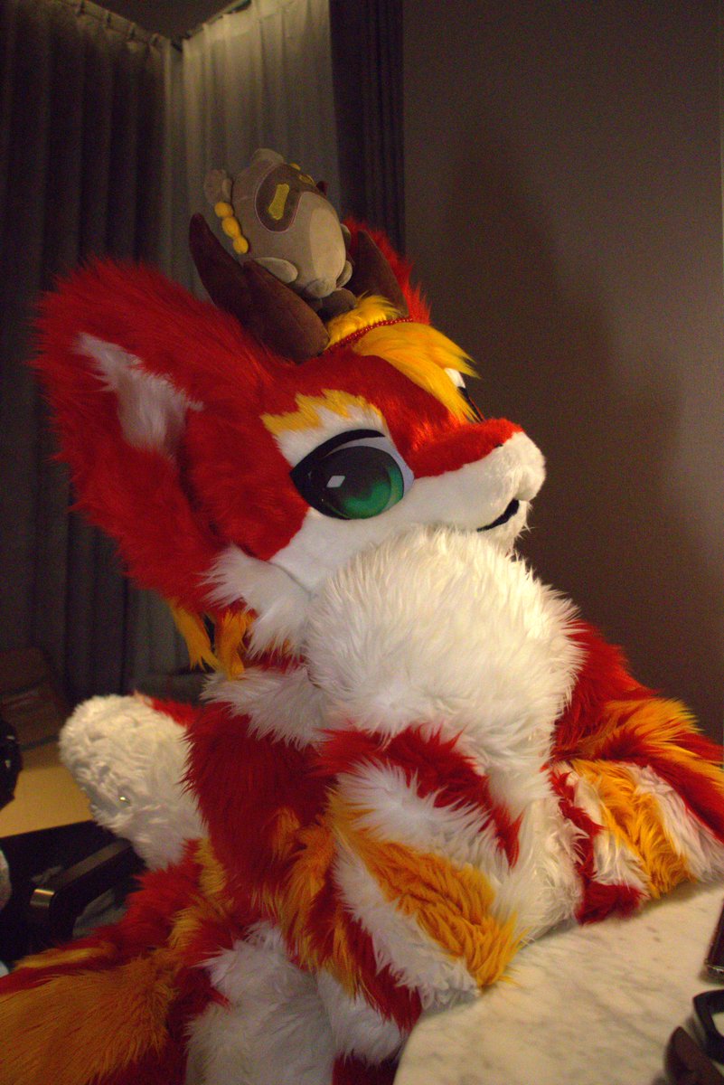 old_leaf_8's tweet image. #FursuitFriday
月下灯一盏🎶
有孤影作伴🎶

月色悄悄晕染🎶
话还没说完🎶
约好明天不见不散🎶
——《好不喜欢》王子健

📷：海海