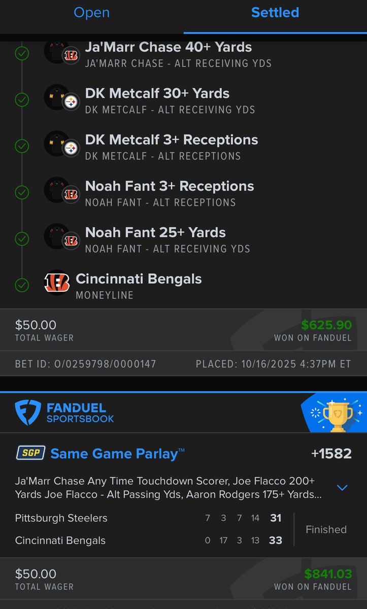 Many Flaws tweet media