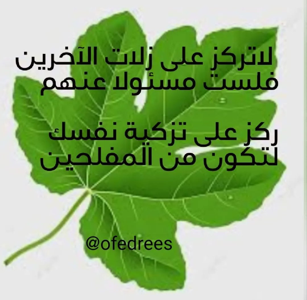 ofedrees's tweet photo. https://t.co/Hg6Wq1DKqt