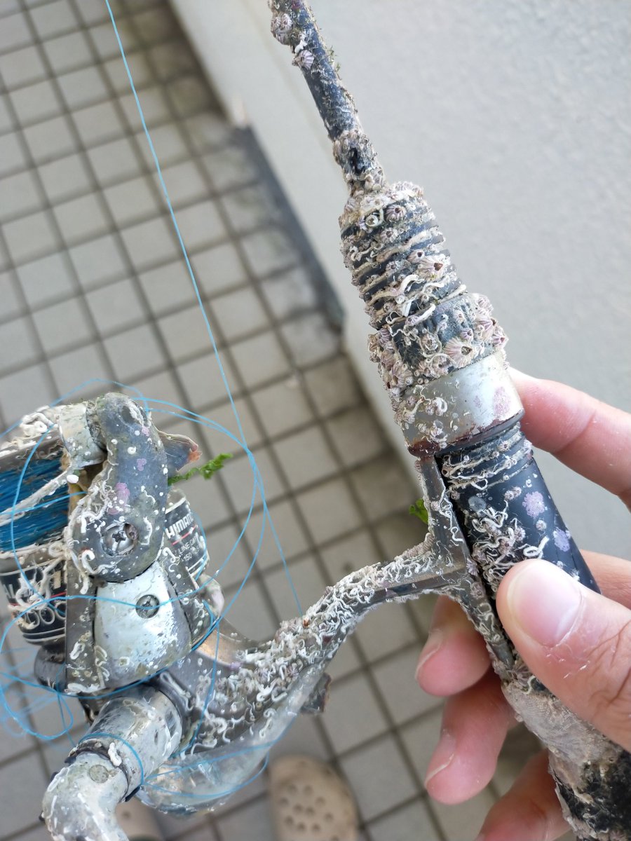 ダッチマン demonstration ダッチマン (Dutchman) (JP