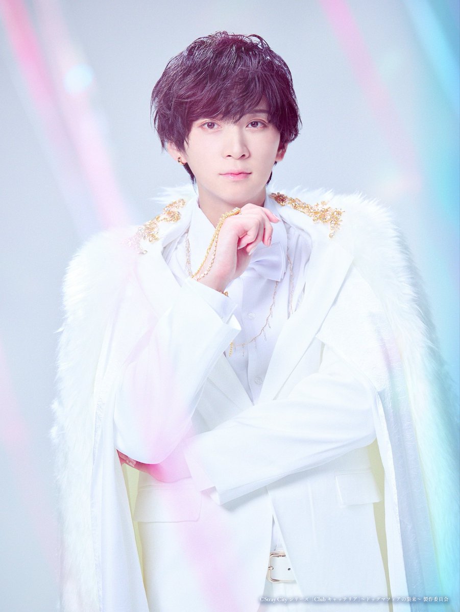 昨夜は
「キャッテリアTHE TV」
楽しんで頂けましたか？？

次なるStray cityシリーズは
ねこちゃんとわんちゃんの抗争です。

お楽しみに！
🐈💥🐕