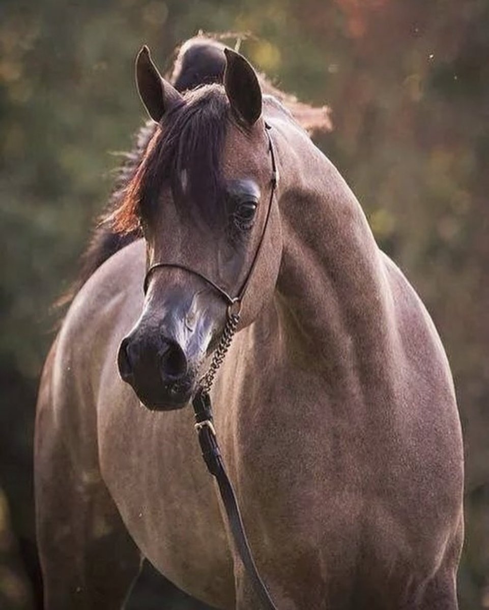 #سبحان الذي تنفس الصبح بأمره، 
وأشرقت الأرض بنوره، اللهم بك #أصبحنا 
وبك #أمسينا وبك نحيا وبك نموت 
وإليك النشور

#اصدقاء_حلا_للتبادل 

#صباح_الخير 🌹🌹