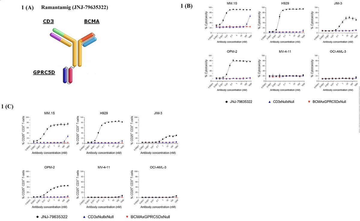 Myeloma Paper of the Day: Ramantamig (JNJ-79635322), a novel TCE