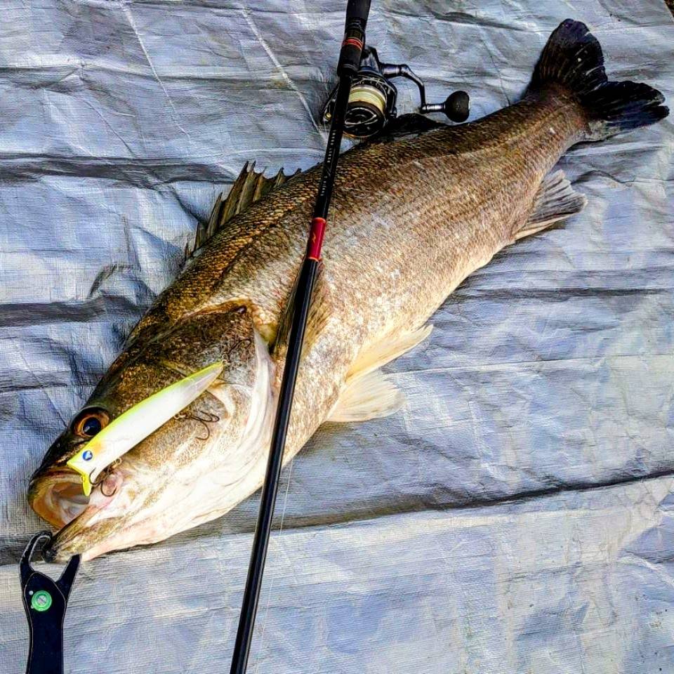 DAZsfishing's tweet photo. https://t.co/bMKaQPNHMi
DAZsfishing 今までのアカウントを修正したら全て消えてしまいましたので、改めてユーチューブPRアカウントを作りました。よろしかったらフォローよろしくお願いいたします。
#ユーチューブ
DAZ"s Fishing https://t.co/FnR4ndbnte