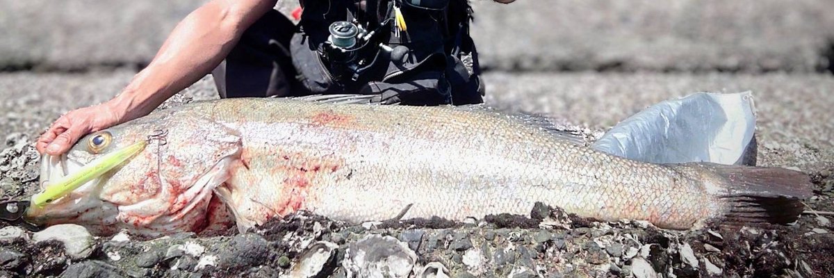 DAZsfishing's tweet photo. https://t.co/bMKaQPNHMi
DAZsfishing 今までのアカウントを修正したら全て消えてしまいましたので、改めてユーチューブPRアカウントを作りました。よろしかったらフォローよろしくお願いいたします。
#ユーチューブ
DAZ"s Fishing https://t.co/FnR4ndbnte