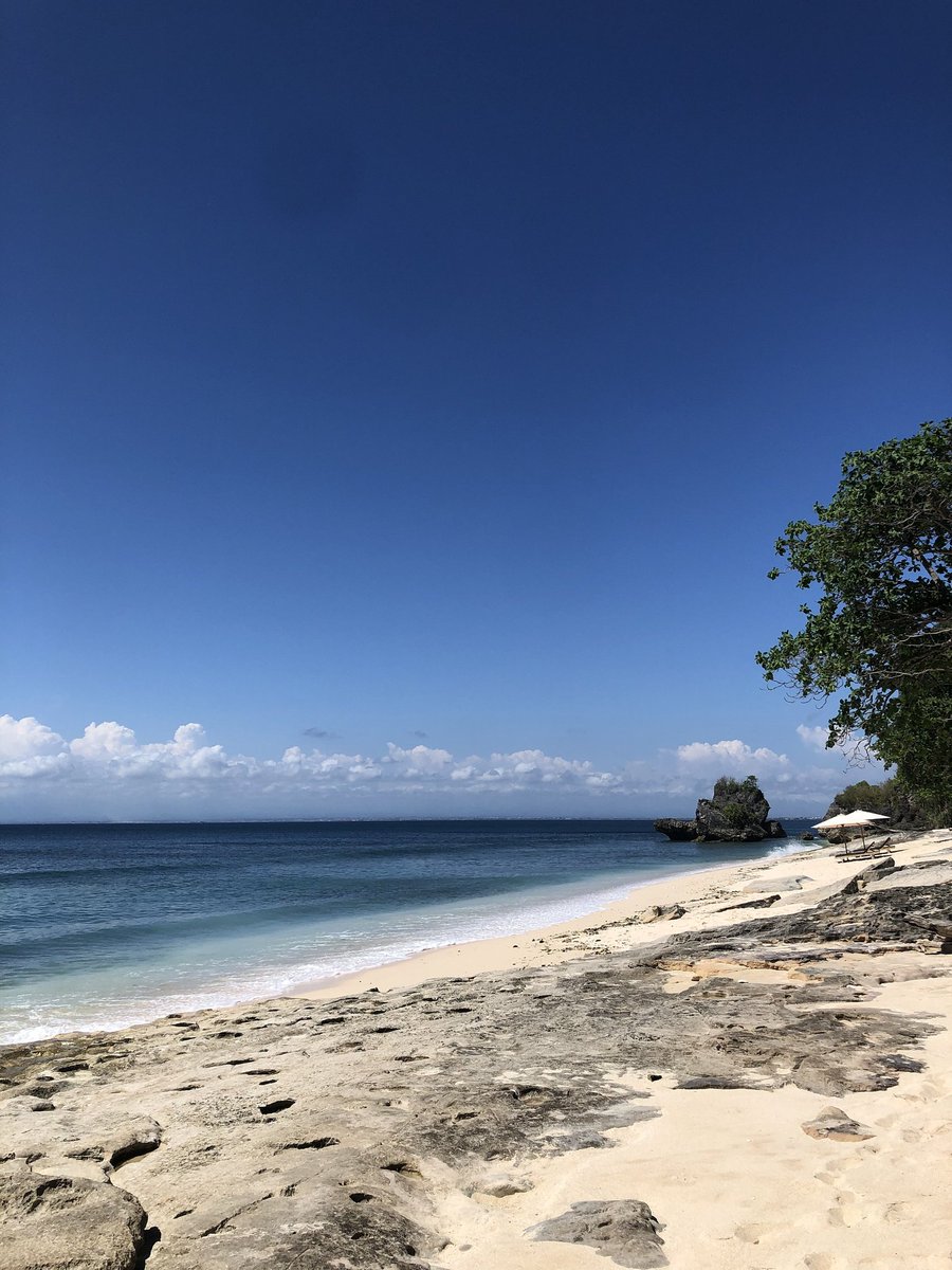 dmnemon's tweet image. 🏖️