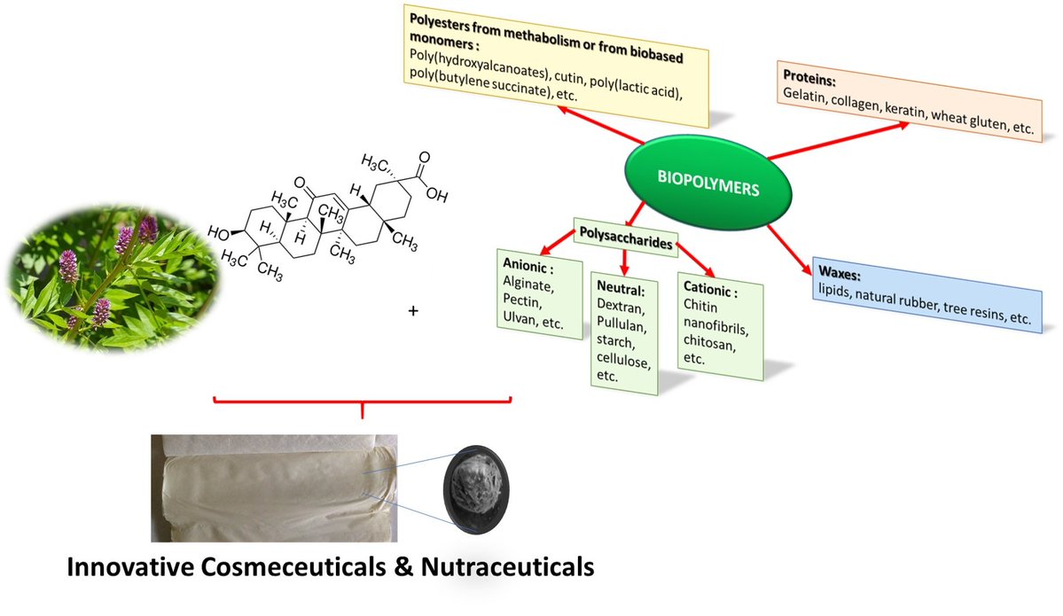Cosmeticsmdpi's tweet image. #OpenAccess #Review
📑Title: #Smart Tissue Carriers for Innovative #Cosmeceuticals and #Nutraceuticals 
Authors: Pierfrancesco Morganti et al.
📌 brnw.ch/21wWGXS