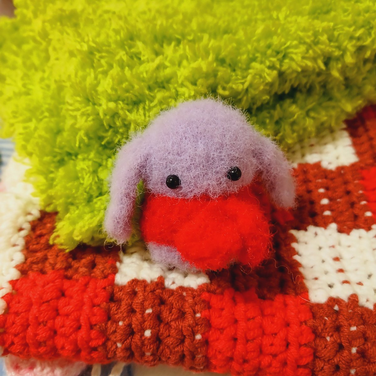 토마토 tweet media