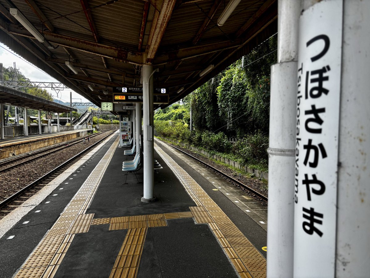 ZivaDncis's tweet photo. キトラ古墳の壁画見学！想像以上に素晴らしかった！ものすごく貴重！描いた人もすごいし、はがして残した人もすごいし、保護管理してる人もすごい(言い方)ホントに古墳にコーフン！残りの「青龍白虎」「朱雀」「天文」も見に来たい！ https://t.co/NhAG6XsF6K