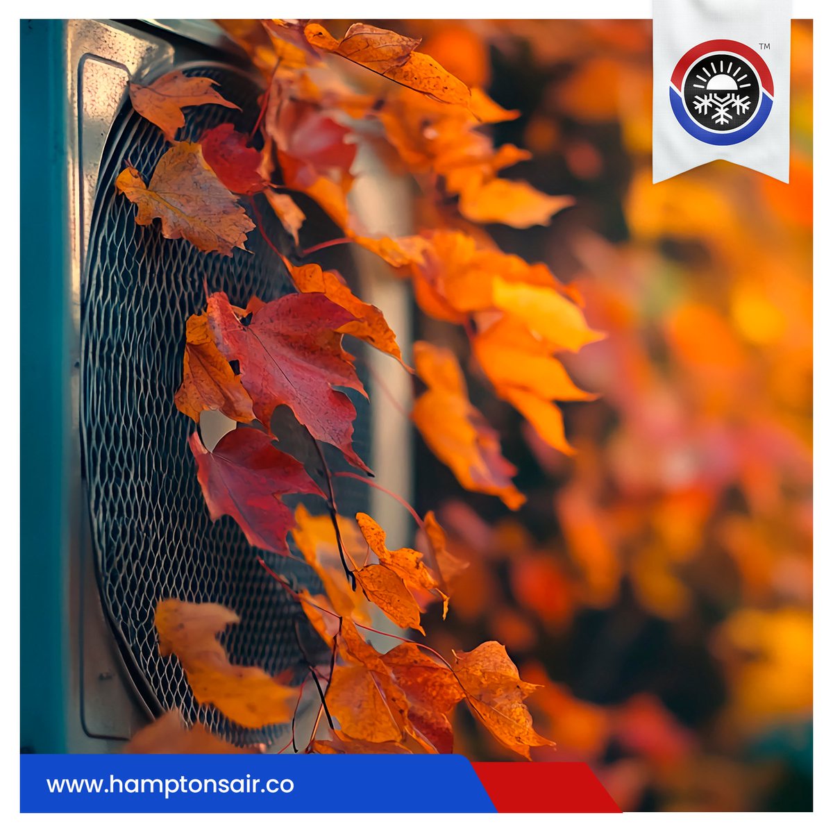 Fall in the Hamptons is better with a perfectly climatized home.