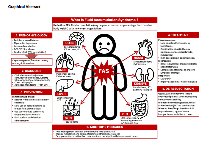 aldensanchez's tweet photo. Fluid Accumulation Syndrome
pacientes sépticos con:
Balance hídrico positivo 📈
↑ peso corporal (>5%) ⚖️
Edema generalizado / anasarca 💧
Hipoxemia o peor mecánica ventilatoria 🫁
Oliguria persistente sin respuesta a líquidos 🧪
Disfunción orgánica sin otra causa (SOFA ≥3) ⚠️ https://t.co/xYEt9j22xw