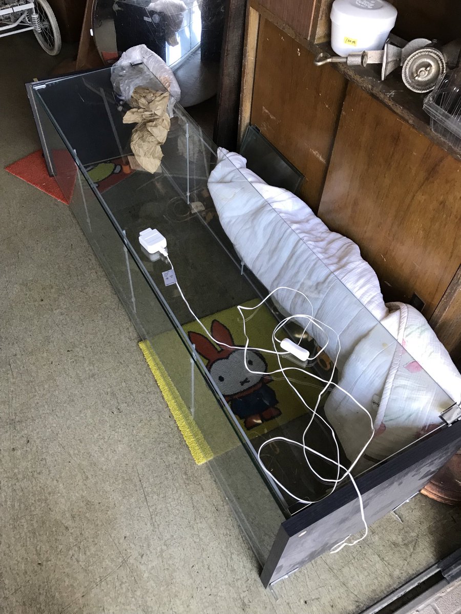 右利きのR「しょ」 (@r70806987) on Twitter photo 【CuriosityShop神ヴン室】
13:00〜19:00☀️
ガラスケース入りました
<a href="/qjcfQYPH4MNSNO1/">鴨江ヴンダーカンマー</a> 【CuriosityShop神ヴン室】
13:00〜19:00☀️
ガラスケース入りました
<a href="/qjcfQYPH4MNSNO1/">鴨江ヴンダーカンマー</a>