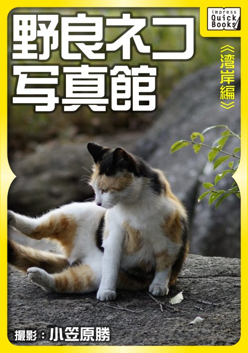 impress QuickBooks【公式】 tweet media