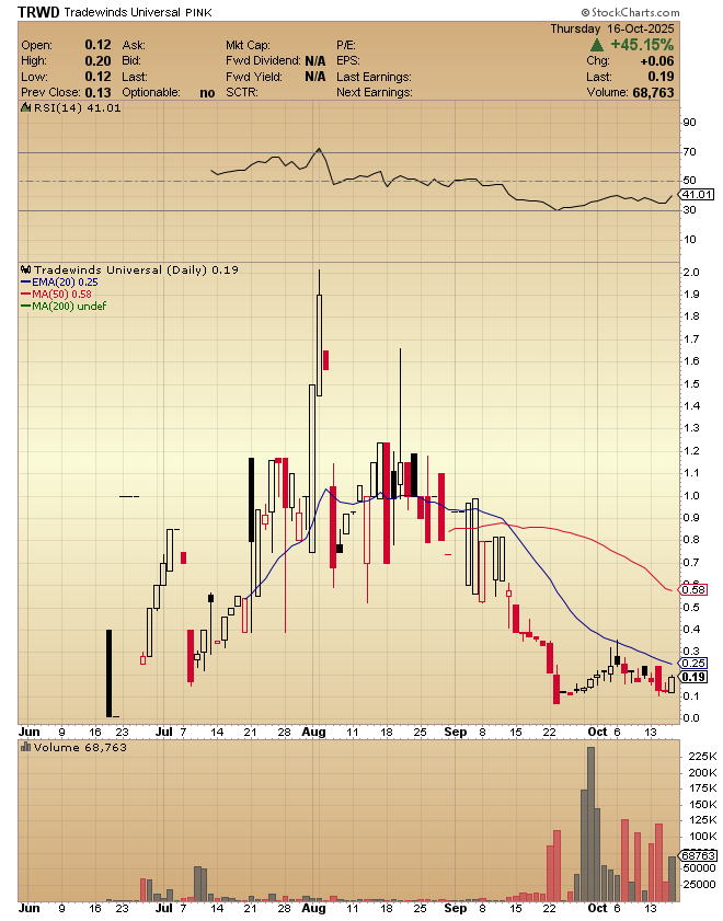 StockTrader187's tweet photo. Added more $TRWD since my last post and got my avg down to about .14 https://t.co/G0TSRgHlR1