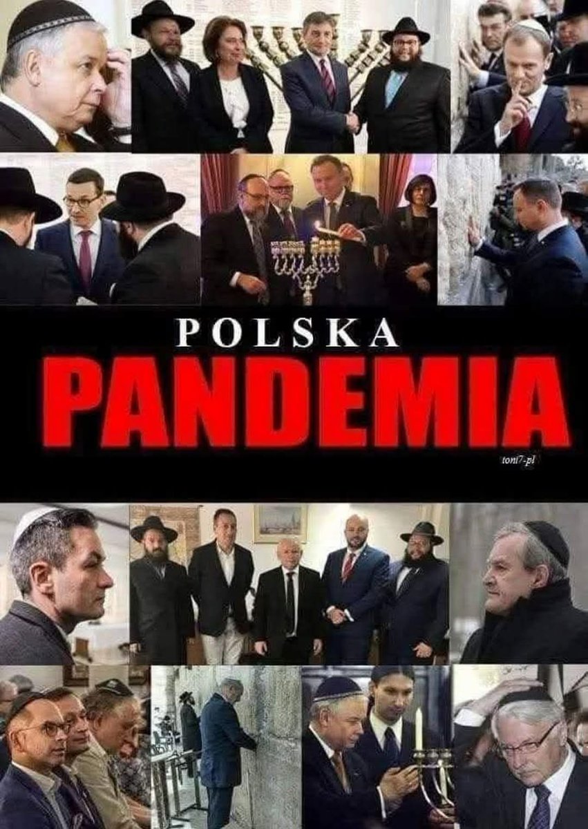 Dzień dobry.