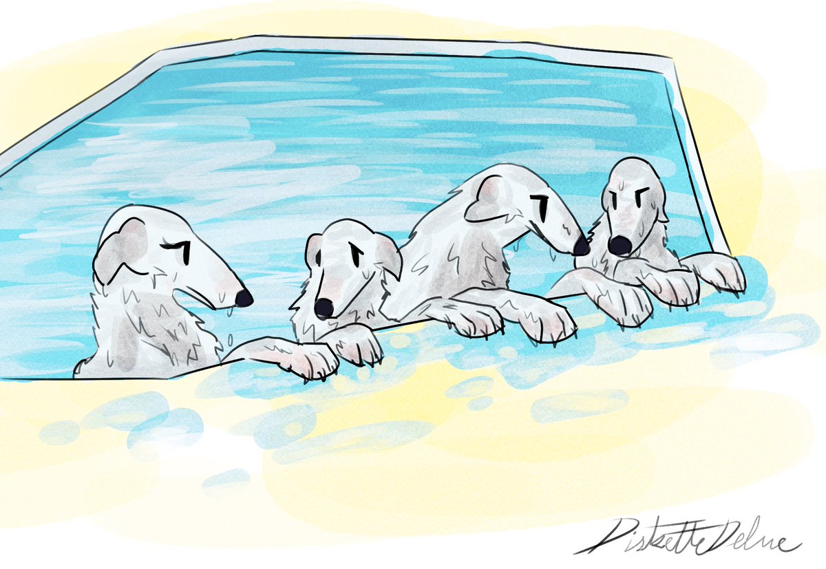 Diskette Delve tweet media