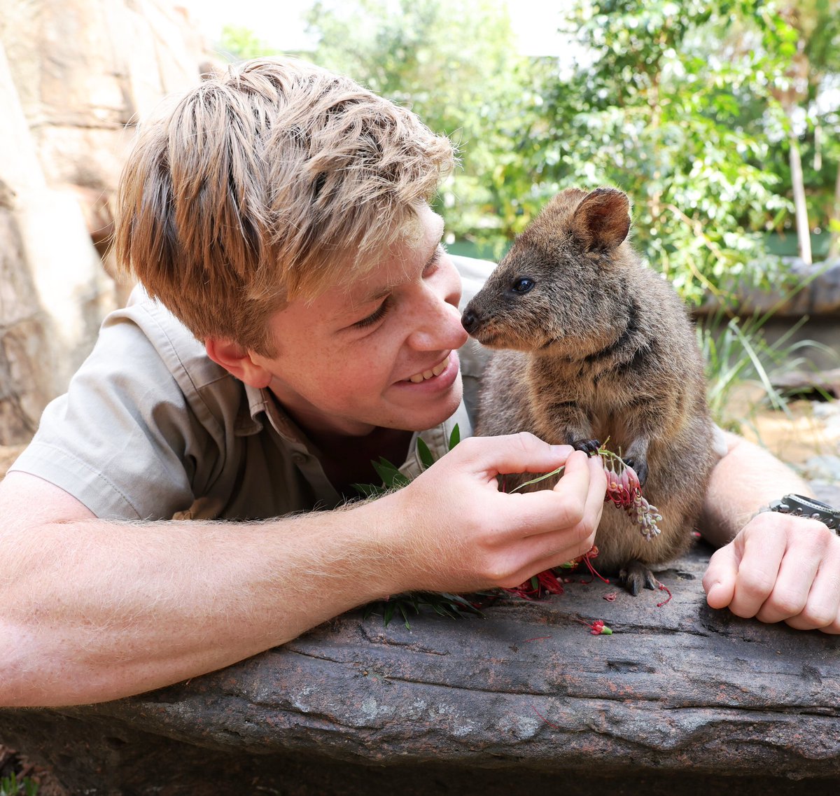 RobertIrwin's tweet image. Missing my animal fam back at home ❤️
@AustraliaZoo