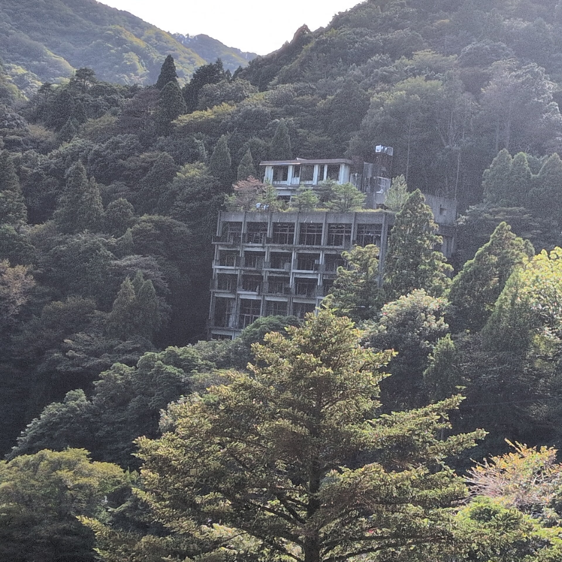 クマ猫と廃墟 クマ猫と廃墟