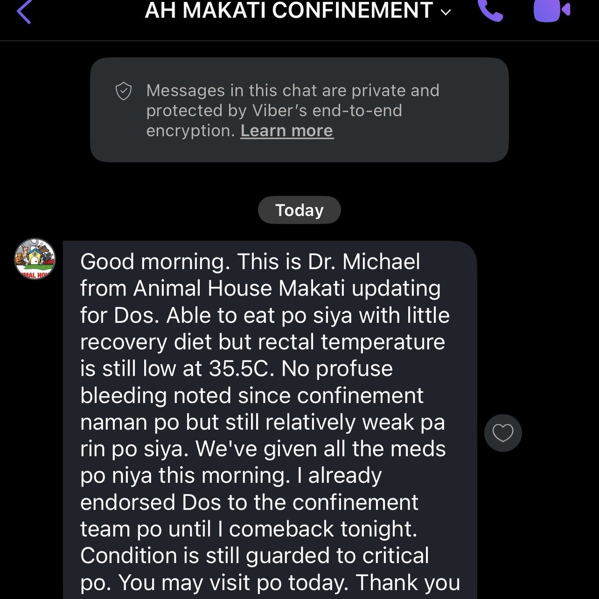 nayatorinko's tweet image. My baby kitten got hurt really bad last night after getting trapped inside the sofa 😭 

We rushed her to the emergency vet at 2am, and she’s now in critical condition at Animal House. According to the doctor, she has swelling in her head and haziness in her lungs, but she’s…