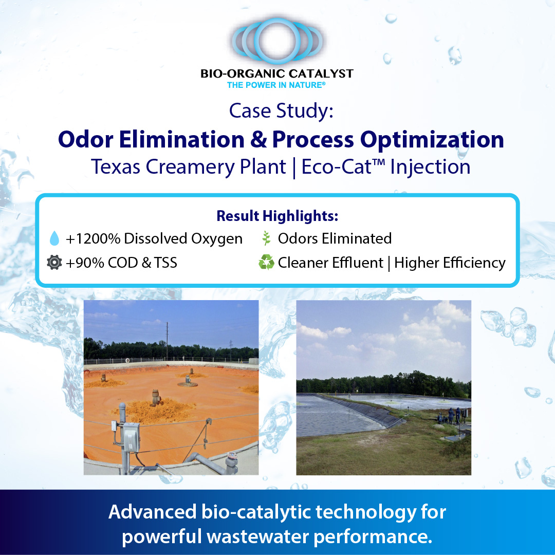 Texas Creamery Plant eliminates odors &amp; boosts performance with Eco-Cat bio-catalytic treatment.
✅ DO ↑ 1200%
✅ COD removal ↑ 91%
✅ TSS removal ↑ 88%
Odors gone: cleaner effluent, higher efficiency.
Learn more: bio-organic.com/wp-content/upl… 

#WastewaterTreatment #OdorControl