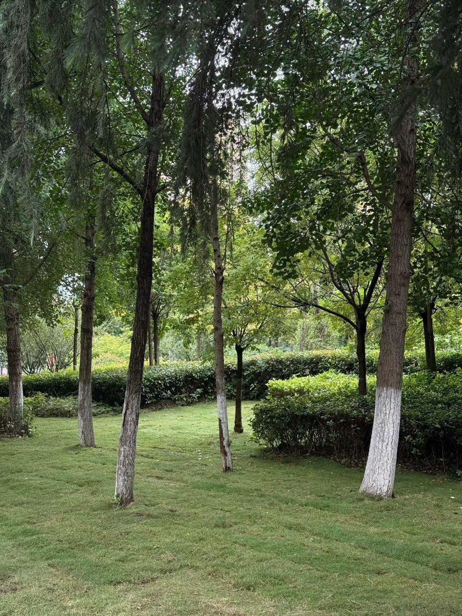 With each autumn rain, the chill deepens.