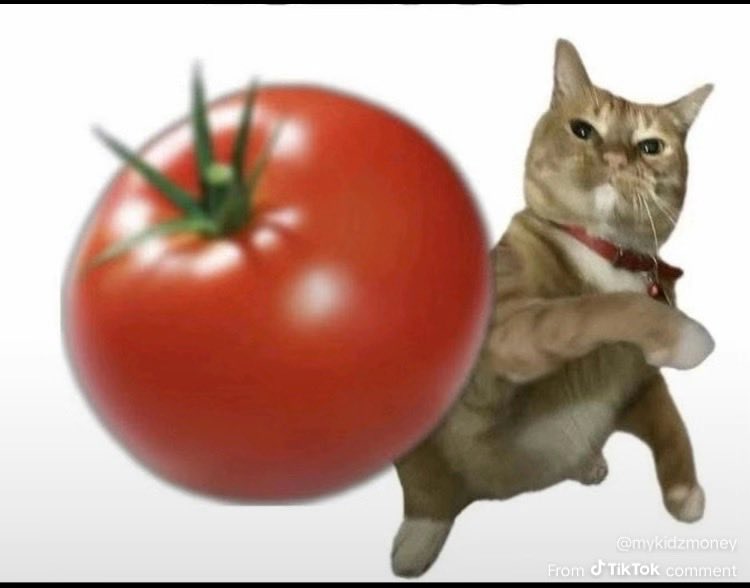 The Grail (@hazeykilla) on Twitter photo 