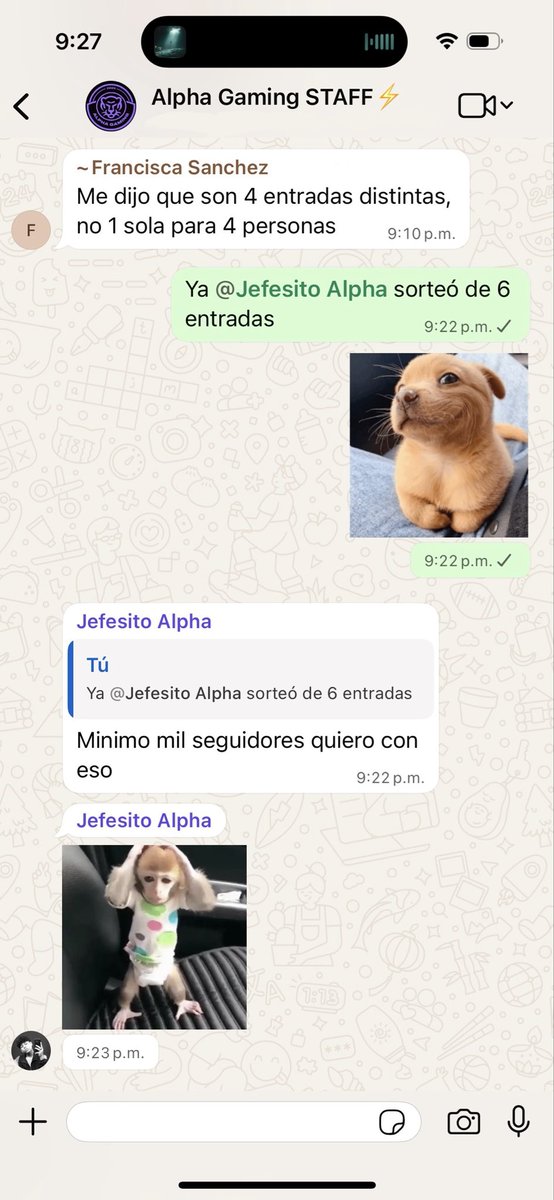 quien dice yo para #festigame? 👀