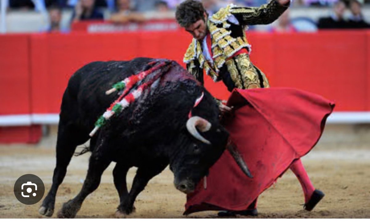 The Bull’s Illusion of Possible Victory

In this critical moment, the handlers of the regime are harbored by the bull's illusion of a possible victory. Head first, they charge, tinkering with voting results and spreading the myth of the incumbent’s unshakable strength in rural