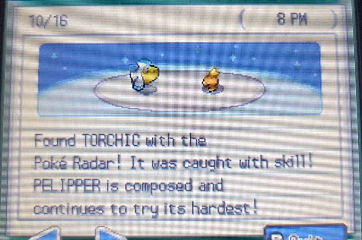 ShinyFamm's tweet photo. It's not a shiny but a cool find anyway! Found the 1 percent Torchic found on the sightseeing pokewalker path today! Going to masuda breed this guy for a shiny in the Kanto leg of this file. https://t.co/YFhQShXmNf