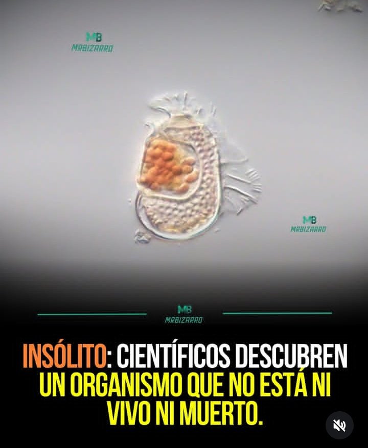 Te llamaremos Sergio Fajardo.  
<a href="/sergio_fajardo/">Sergio Fajardo</a>