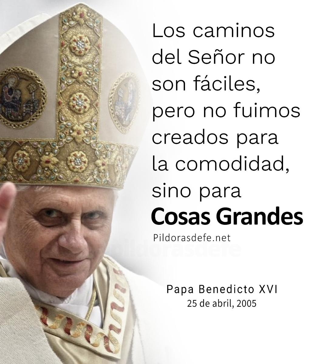 No fuimos creados para la comodidad, sino para COSAS GRANDES.

Papa Benedicto XIV.
