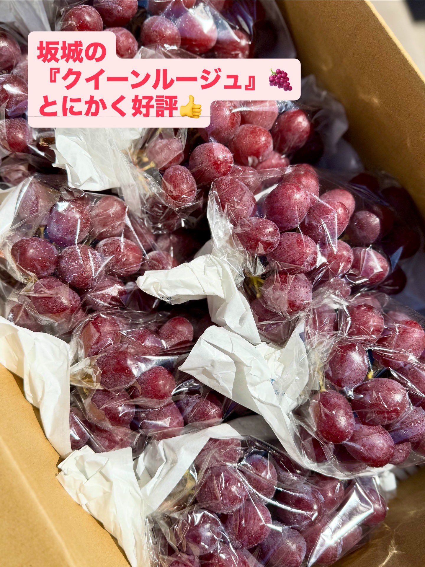 ♡フルーツ大好きさま♡ 不仲コンビ（？）好きすぎる @am1026_official @tarasuzuka24