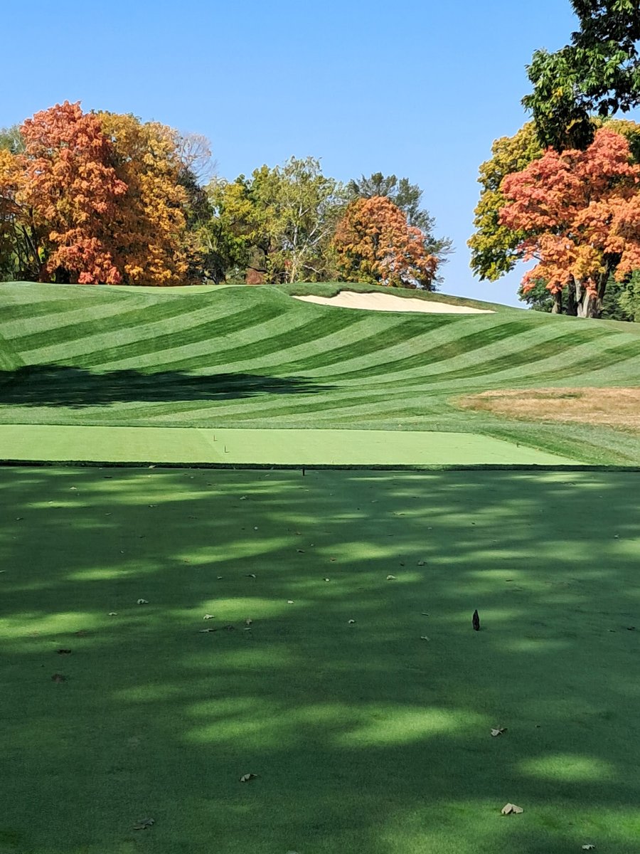 Scott White tweet media