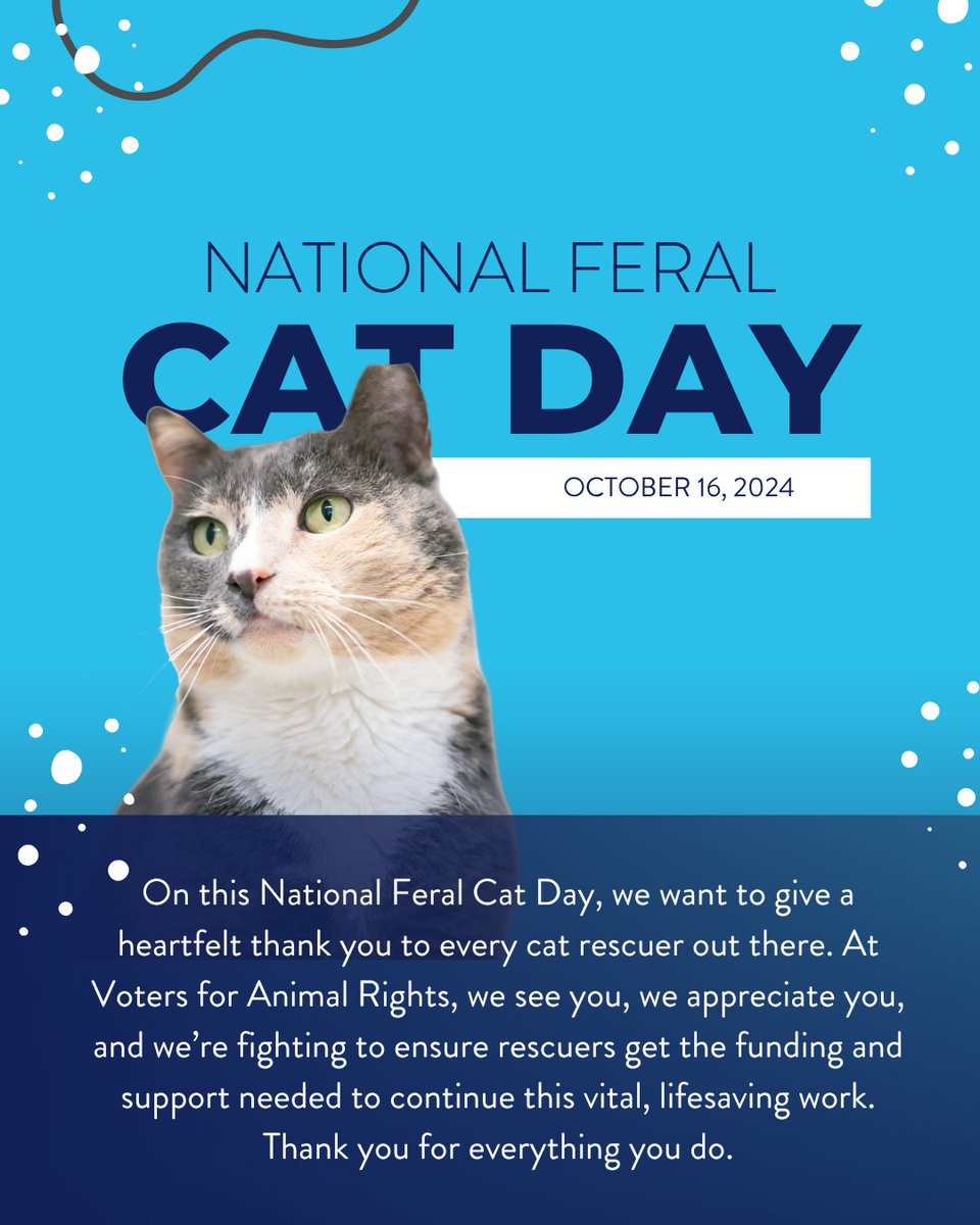 🐱💜 On #NationalFeralCatDay, we’re sending a huge thank you to every cat rescuer who spends their own time, money &amp; heart caring for stray and feral cats.

<a href="/theanimalvoters/">Voters For Animal Rights</a> sees you, appreciates you, &amp; is fighting to ensure you get the funding and support you deserve. 💜