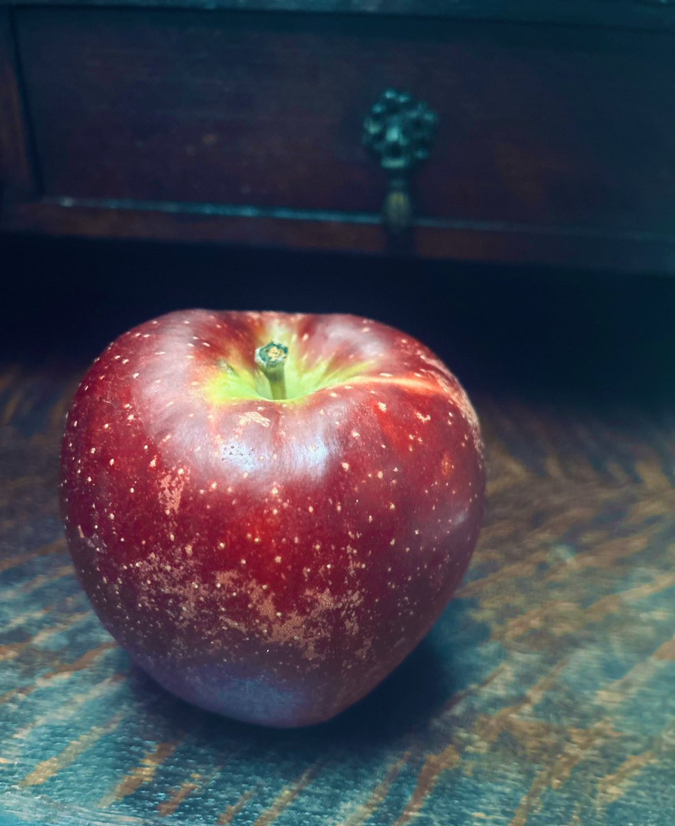 tokakukonoyo's tweet image. #HelloWorld