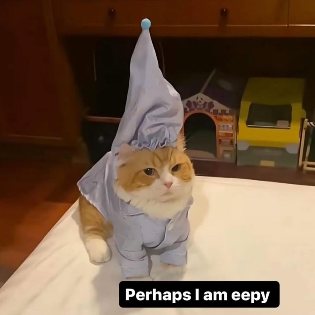 Perhaps