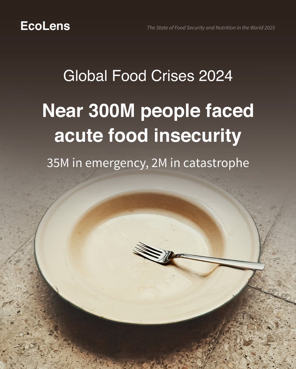 Global food crises worsened in 2024:
🧍‍♂️300M faced acute food insecurity
⚠️35M in emergency
🚨2M in catastrophe

#FoodSecurity
#GlobalHunger