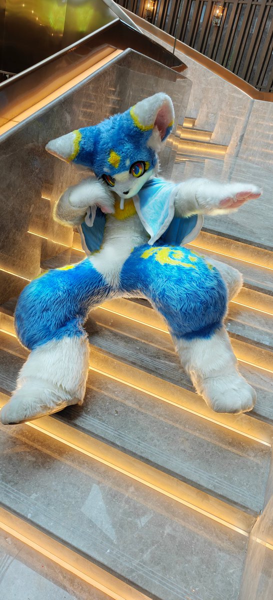 #FursuitFriday
今天是天天的主场哦！
📷：@土喵豆