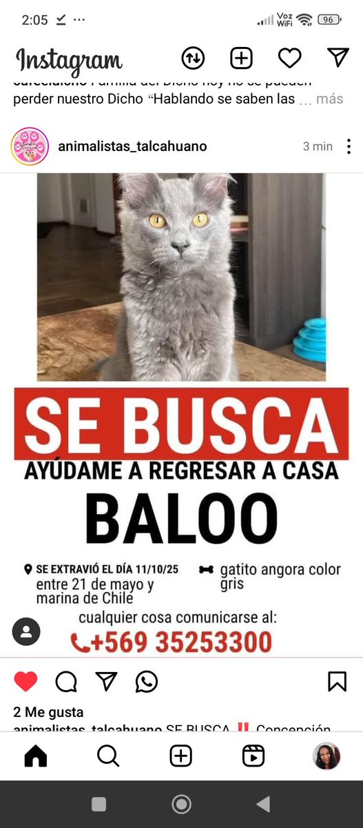#SeBusca Rt