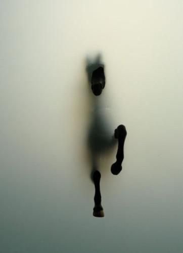 The one who stands out.

The one that broke through.

The one who they all doubted.

The one who proved them all wrong.

The dark horse 

0xbc3c139546751f0a940bd20b0ae58d09e95a4444