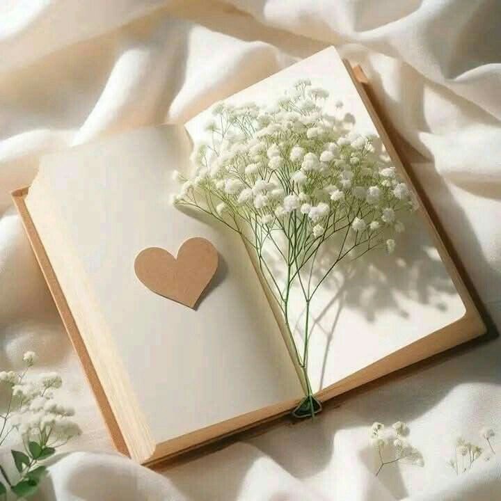 bint_nooor's tweet photo. °
تعويضات الله مذهلة وتستحق منك بذل ما بوسعك من عزم ومن تخلي عن الذنوب والعادات المحرمة وتحلي بالمكارم والفضائل.  الإستغفار والحوقلة و التوبة النصوح وصدق النية من خير ما يعين على تصحيح المسار وتعديل بوصلتك نحو التدين الجميل وطريق السعادة، لاتسوف ،،أنفاسك معدودة.. 👌🕊 https://t.co/xJj9yyH76X