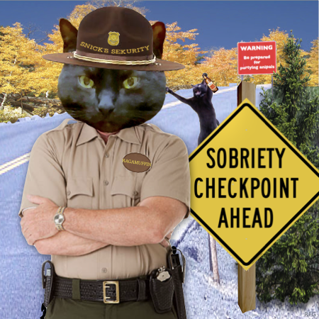 Sisfurcats's tweet image. #nipclub Officer Ragamuffin reporting for duty.  A little late but a toy needed throwing around.

#NewProfilePic