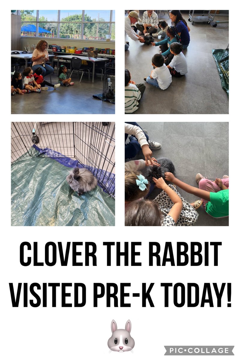 Kirk Elementary tweet media