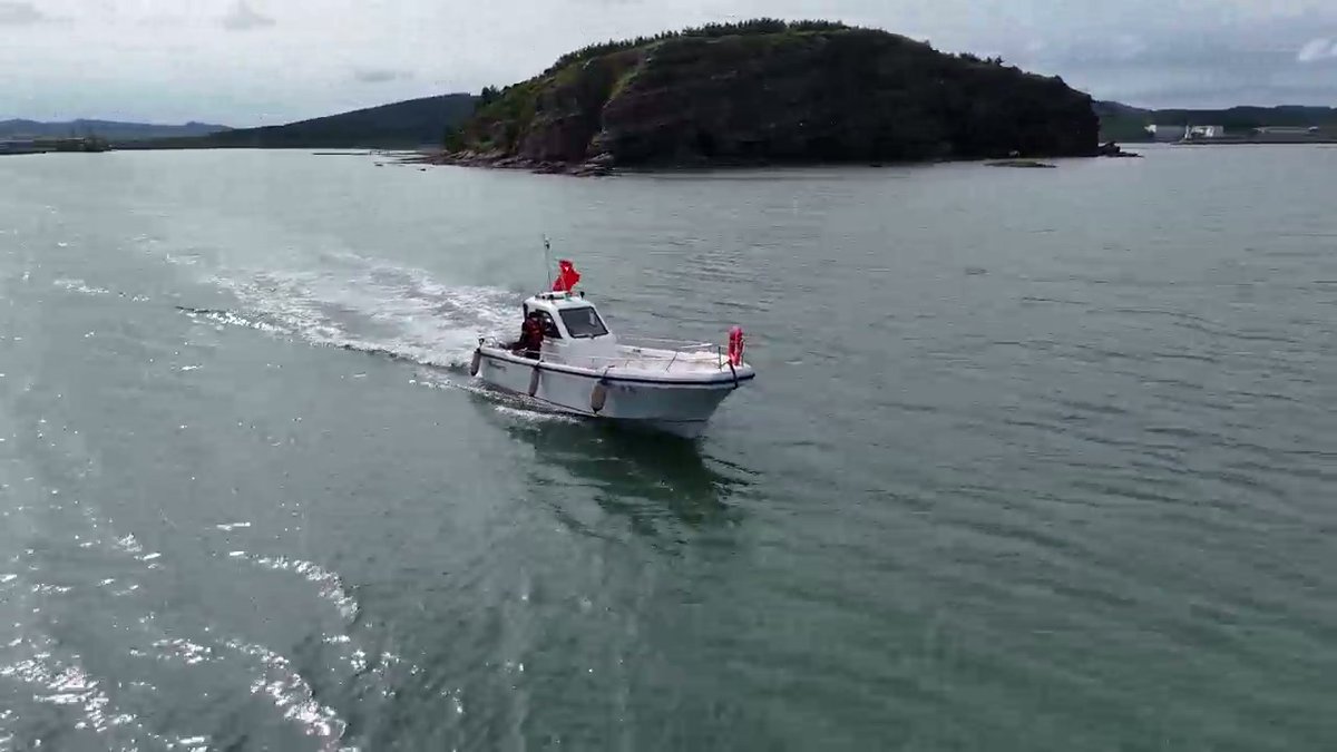 AdalonFRPBoat's tweet image. 🌊 Who can resist this? The 9.7m boat slicing through waves is pure therapy! Sleek lines and strong performance—like a free bird on the ocean. Perfect for fishing or sightseeing!
#FishingBoat #Adalon #MarineAdventure #OceanLife #WavePower #BoatDesign
