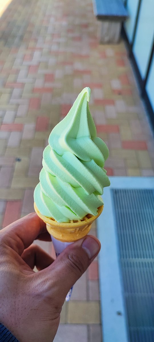 バイク乗りの義務
田原の道の駅でメロンソフト