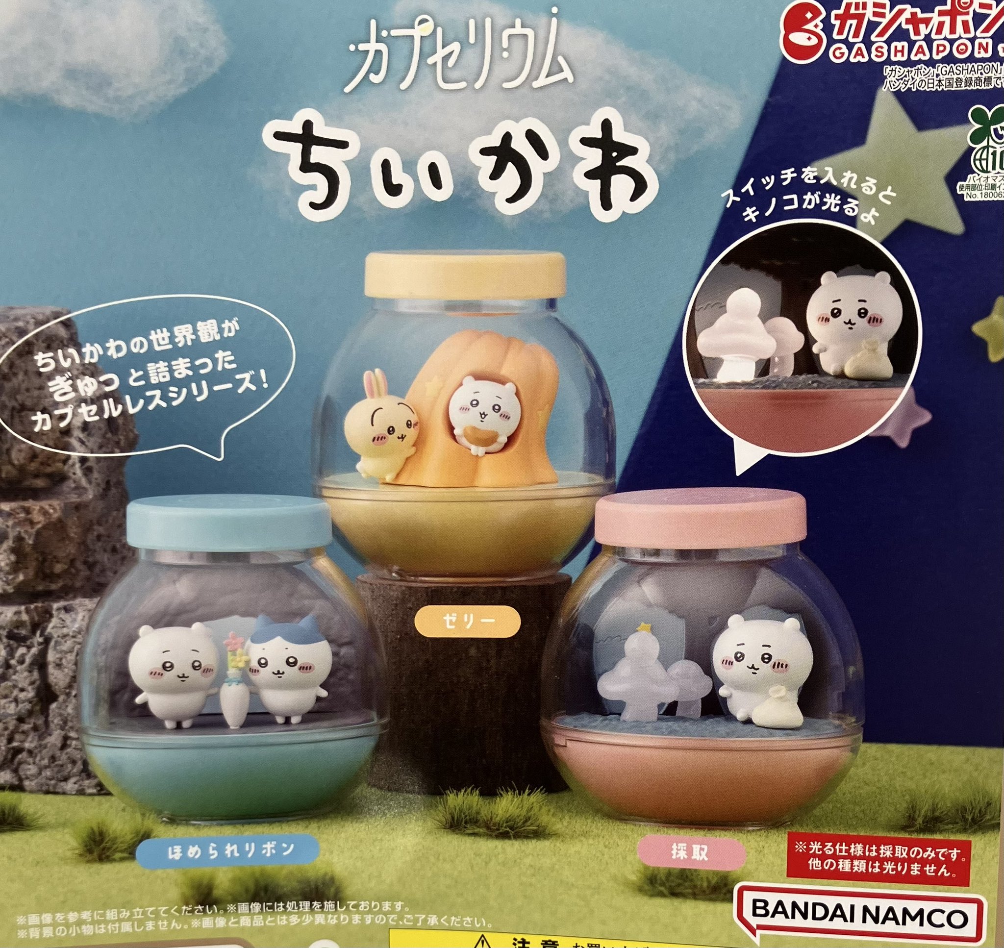 フェスキメ バカラ ムチャさん まとめ売り フェスキメ バカラ ムチャさん まとめ売り