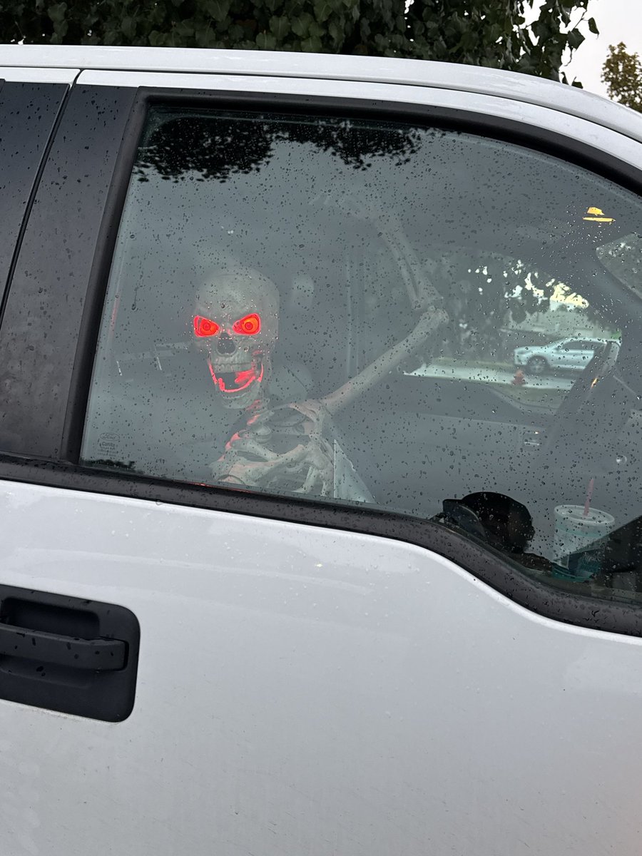 I picked up this angry hitchhiker on my way home tonight. 

He didn’t have the guts to give me a hard time though.