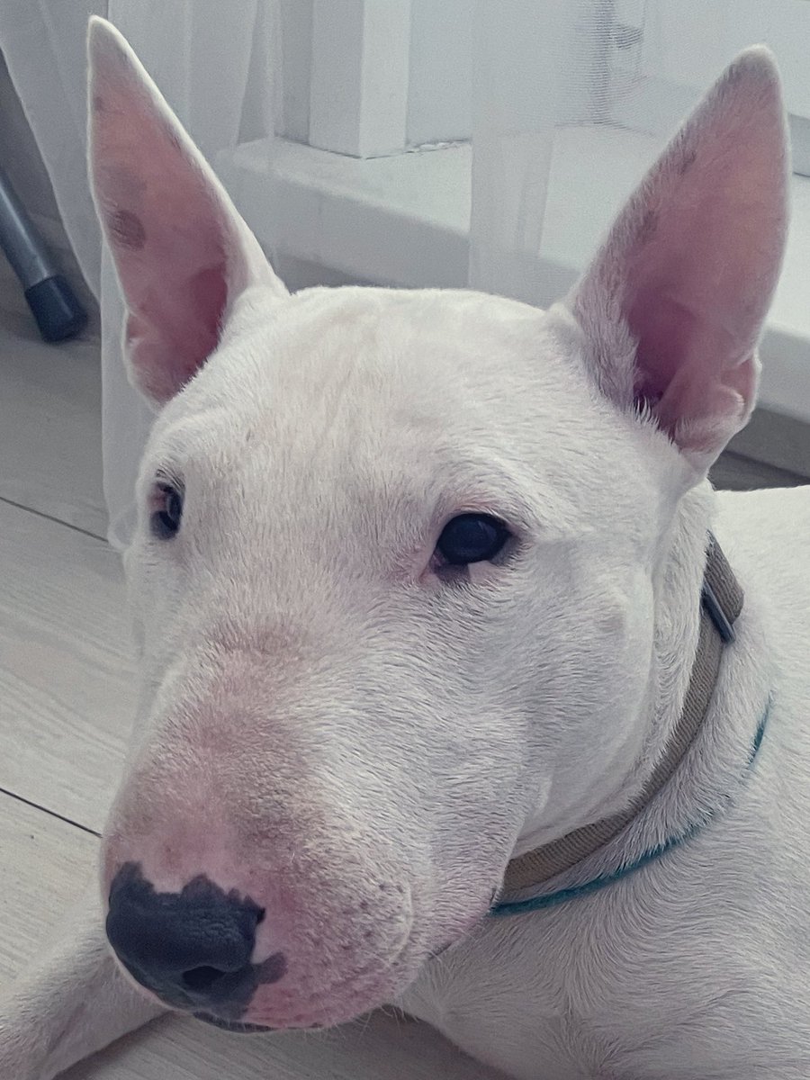 Местный Стигматик 🌚 tweet media