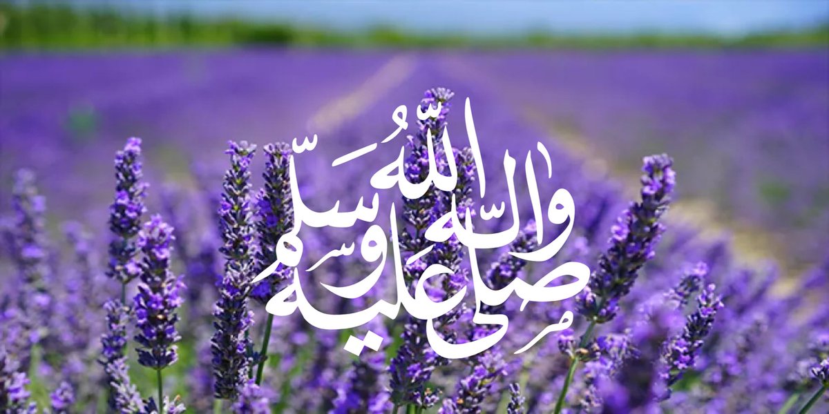 عبدالإله tweet media